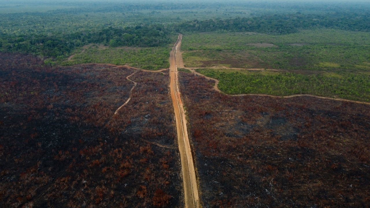 A deforested area of the Amazon rainforest near the city of Humaita